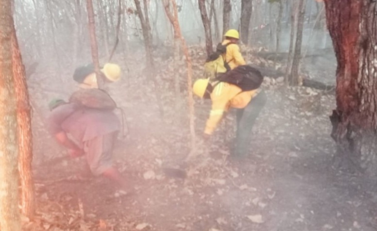 Atiende Coesfo Tres Incendios Forestales En Distintas Regiones De